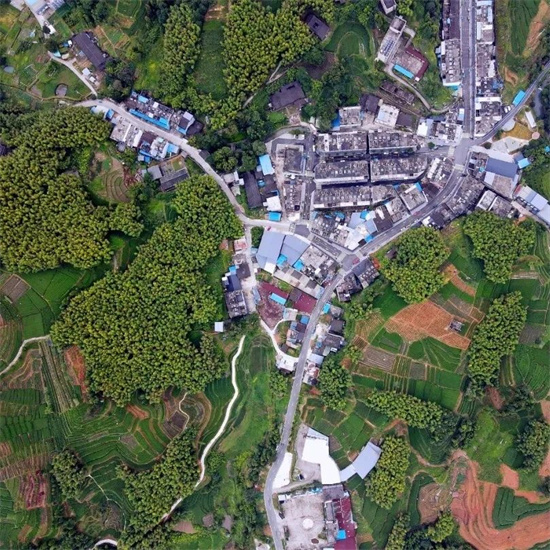 福建鄉村振興重點特色鄉（鎮）、實績突出村公示！福鼎1鎮2村上榜！