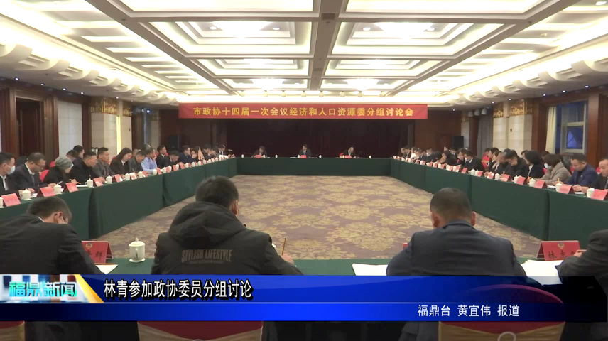 林青參加政協(xié)委員分組討論