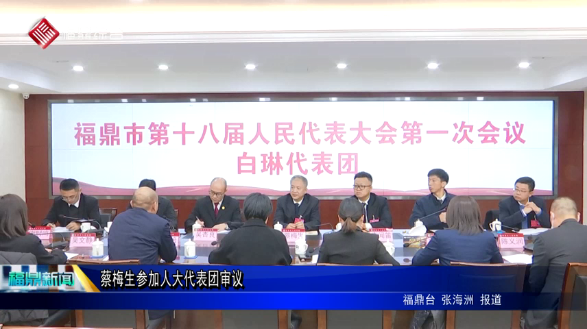蔡梅生參加人大代表團(tuán)審議