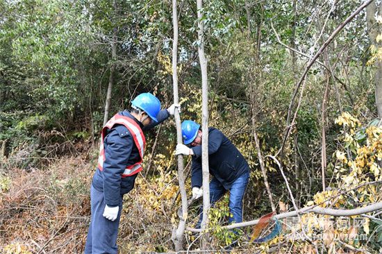 市供電公司：抗擊寒潮 嚴守歲末年初電網“安全關”