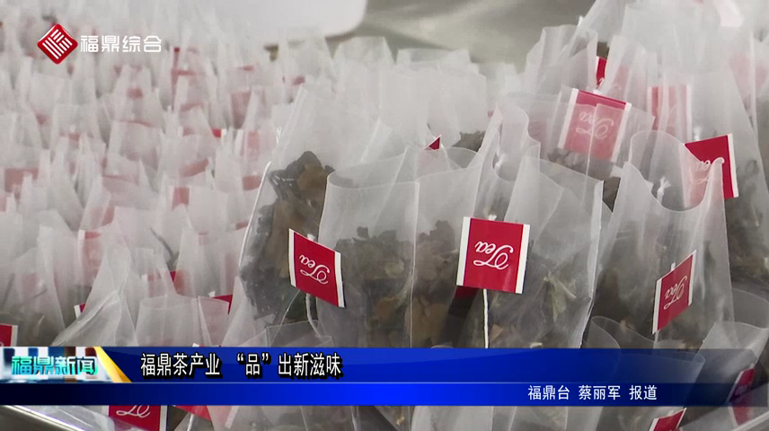 福鼎茶產業 “品”出新滋味