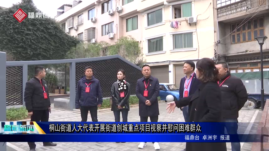 桐山街道人大代表開展街道創城重點項目視察并慰問困難群眾