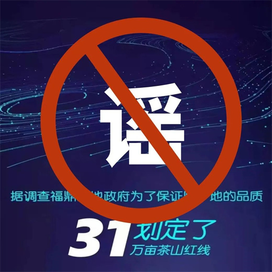 福鼎劃定31萬畝茶山紅線？謠言！勿信！