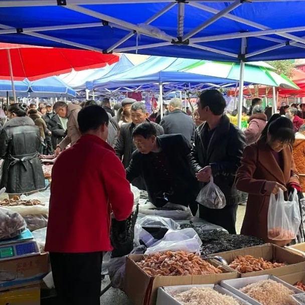 【網絡中國節·春節】要過年了，走，帶你趕個農村大集！