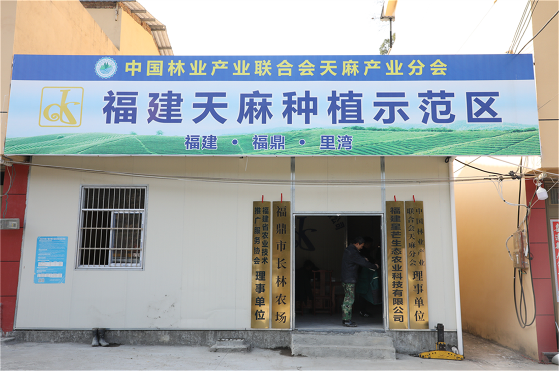 “深情”寫進林地 山村育出“金娃娃”
