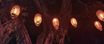 【網絡中國節·春節】遇見福鼎年味