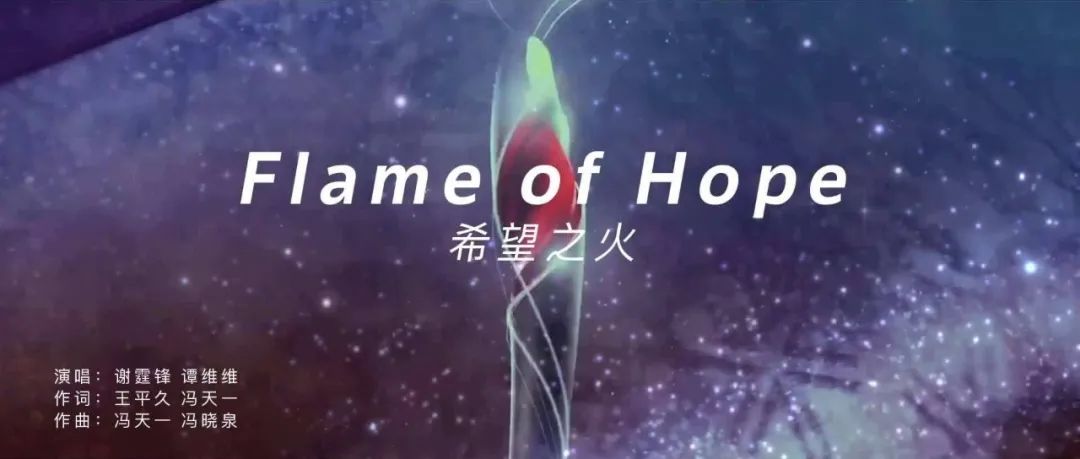 相約冬奧丨MV《希望之火》