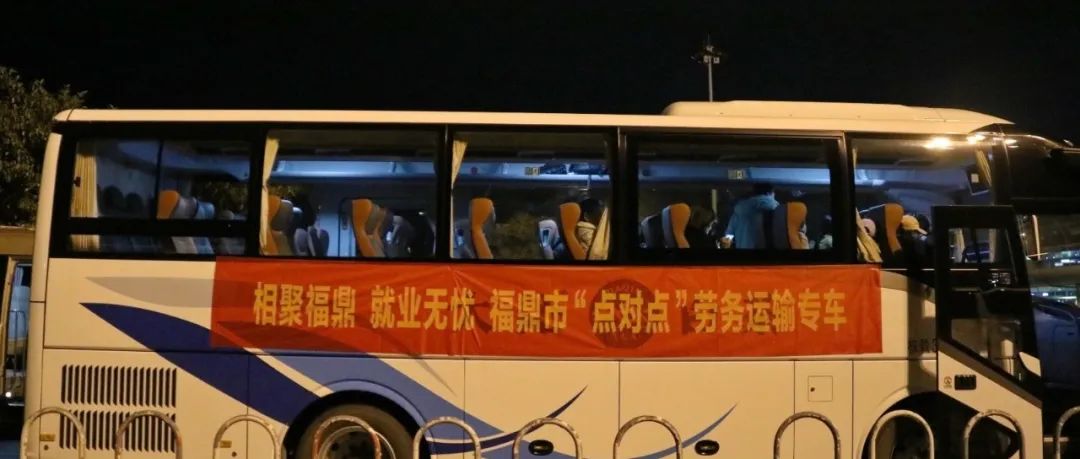 包機包車！又一波新“新福鼎人”來了→