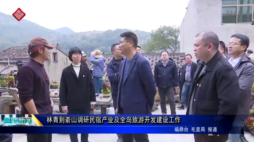 林青到崳山調研民宿產業及全島旅游開發建設工作