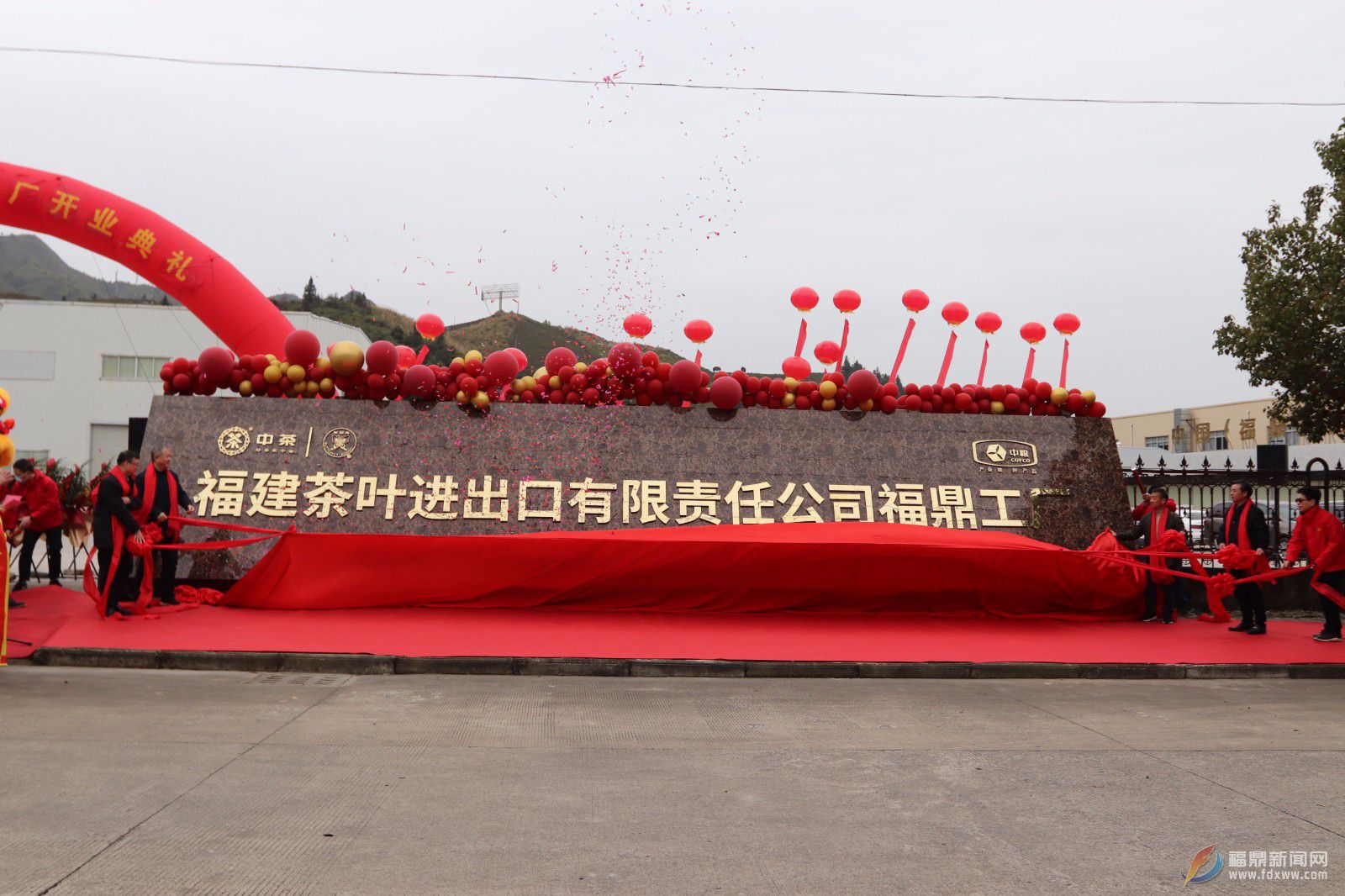 央企入駐福鼎，為福鼎白茶發展注入新活力