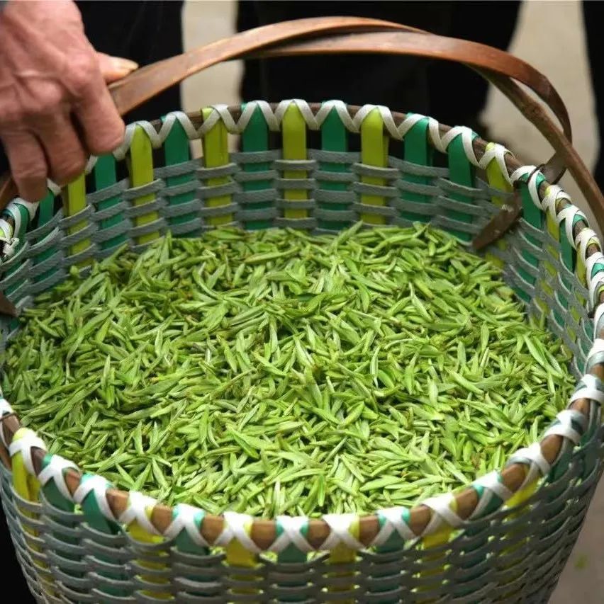 注意！春茶交易期間，有這些防疫要求→