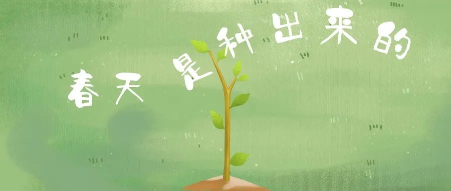 不負好春光！一起植樹吧！