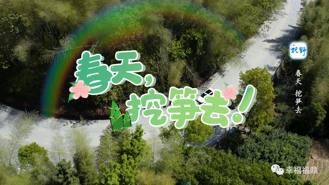 【視野】春天，挖筍去！