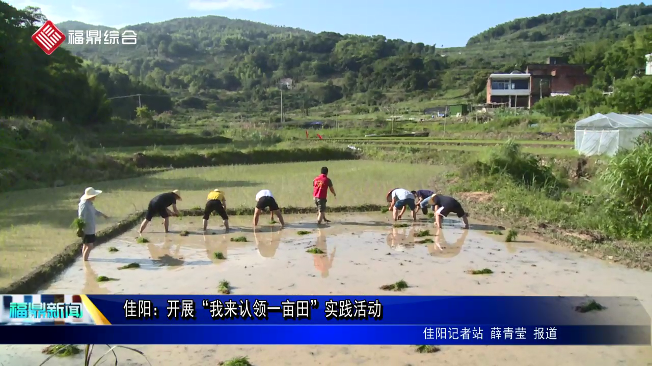 佳陽(yáng)：開(kāi)展“我來(lái)認(rèn)領(lǐng)一畝田”實(shí)踐活動(dòng)