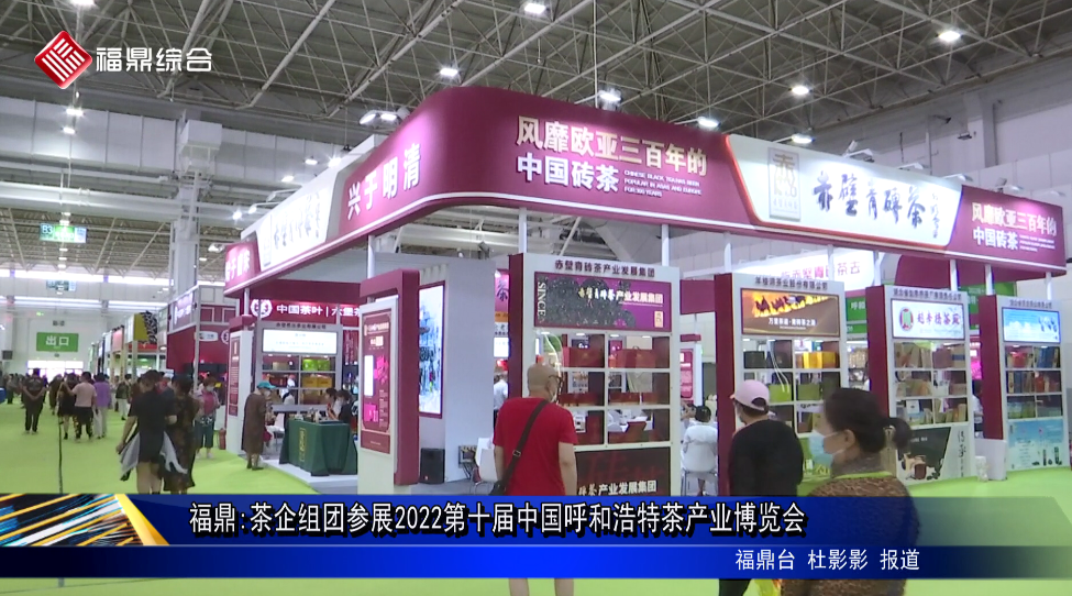 福鼎:茶企組團參展2022第十屆中國呼和浩特茶產業博覽會
