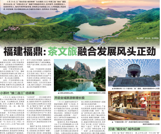 福建福鼎：茶文旅融合發展風頭正勁