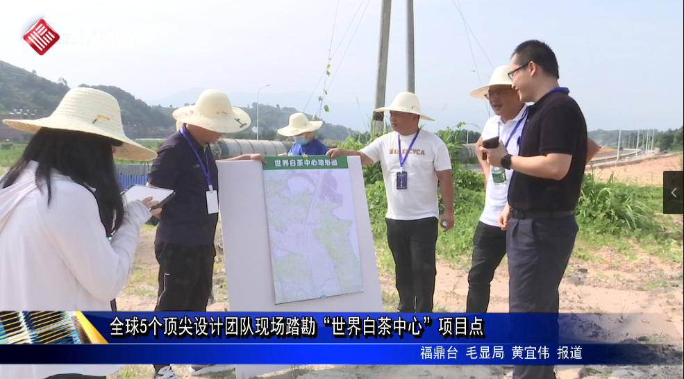 全球5個頂尖設計團隊現場踏勘“世界白茶中心”項目點