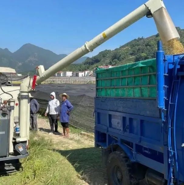 厲害了，全程機械化！