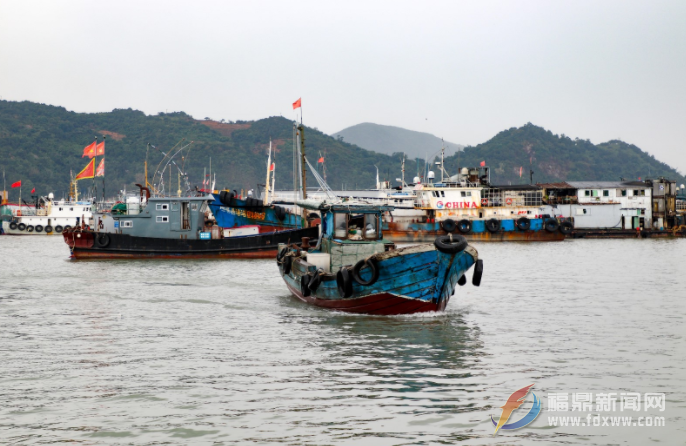 福鼎：漁民上岸，漁船進港，防臺防疫兩不誤