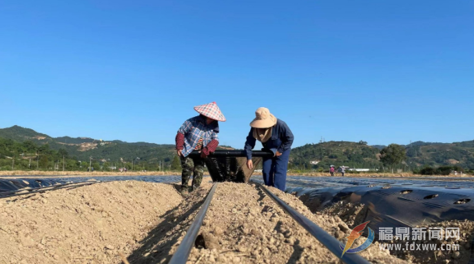 搶抓時機(jī) 秋季農(nóng)業(yè)生產(chǎn)進(jìn)入高峰
