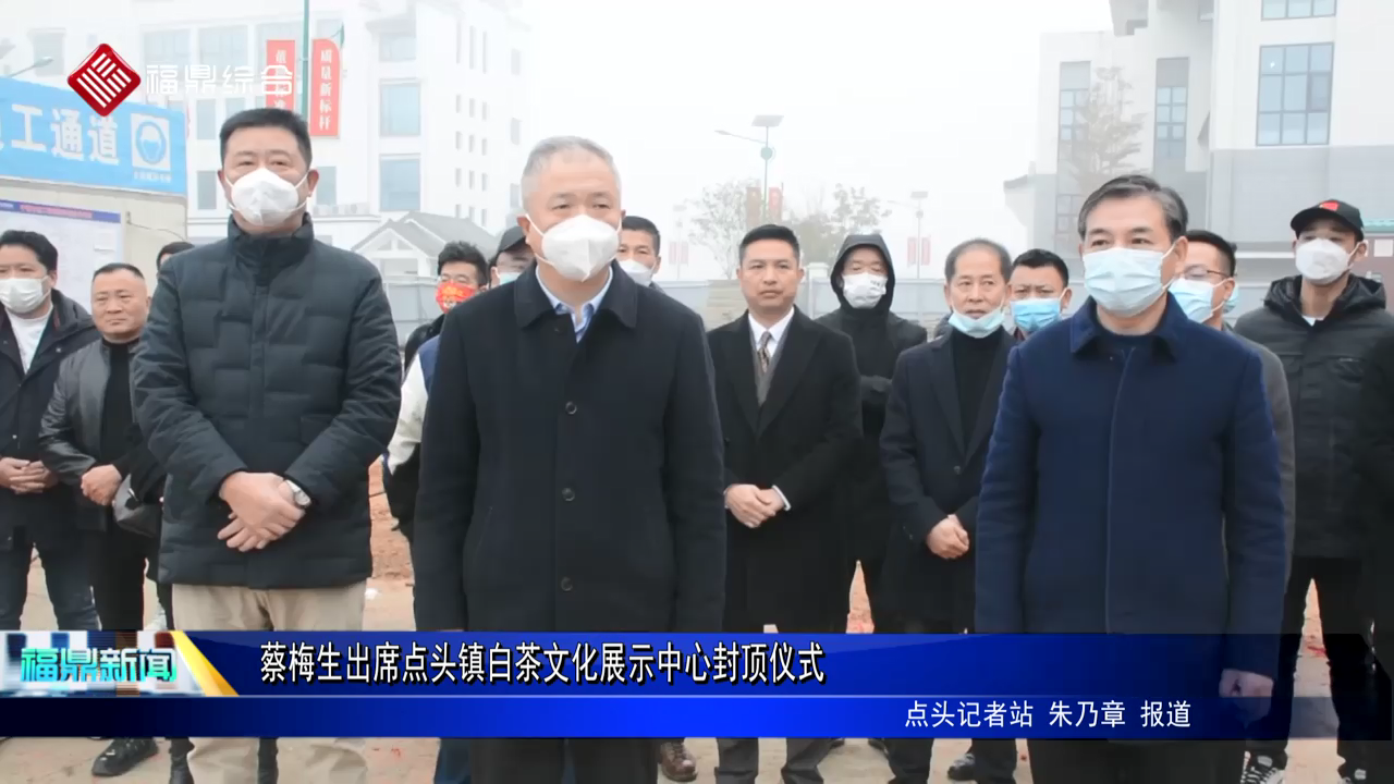 蔡梅生出席點(diǎn)頭鎮(zhèn)白茶文化展示中心封頂儀式