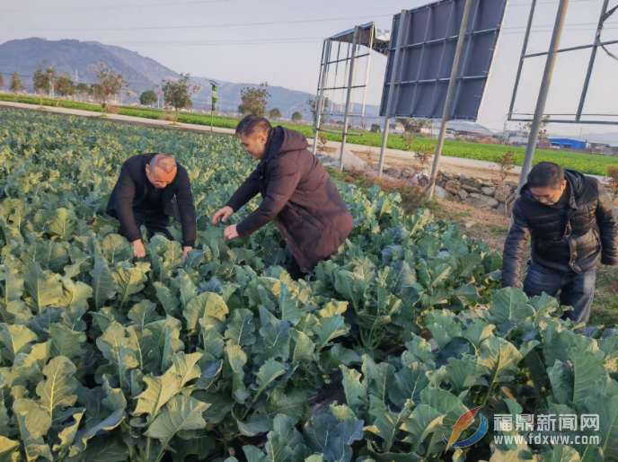 寒潮來襲！農技專家來“防寒”