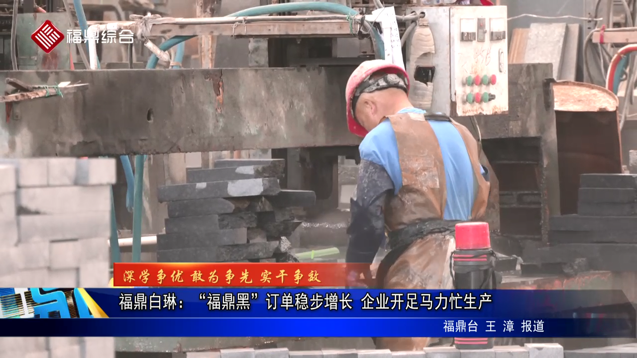 福鼎白琳：“福鼎黑”訂單穩(wěn)步增長(zhǎng) 企業(yè)開(kāi)足馬力忙生產(chǎn)
