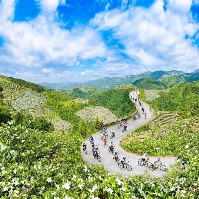 福鼎：閩浙邊界“聯建”，凝聚振興合力