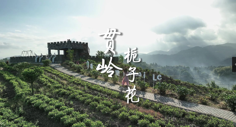 風(fēng)里，已經(jīng)有了梔子花香，那是初夏的味道