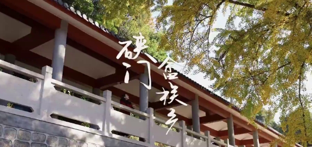 從山里來，到海邊去。去瑞云村賞銀杏，去石蘭村看城堡，去漁井村感受大海的孤獨遼遠。第二期福鼎周邊游走進硤門畬族鄉，文字攻略在視頻最后。