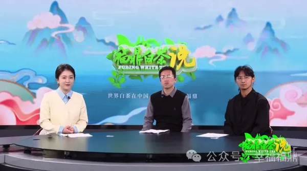 《福鼎白茶說》——新“茶人”，新“茶經”