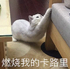 【福鼎科普】官方出手教減肥？全國各地都不同……建議收藏！