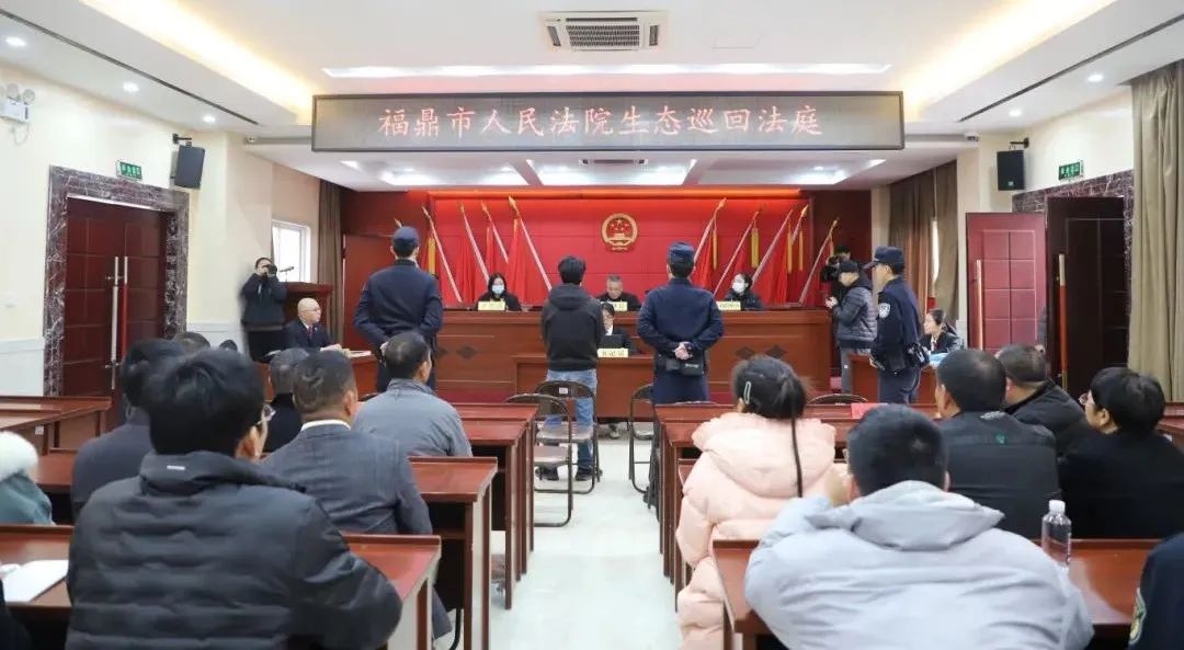 福鼎法院開展巡回審判！3名買賣“金豆”違法人員被判刑！