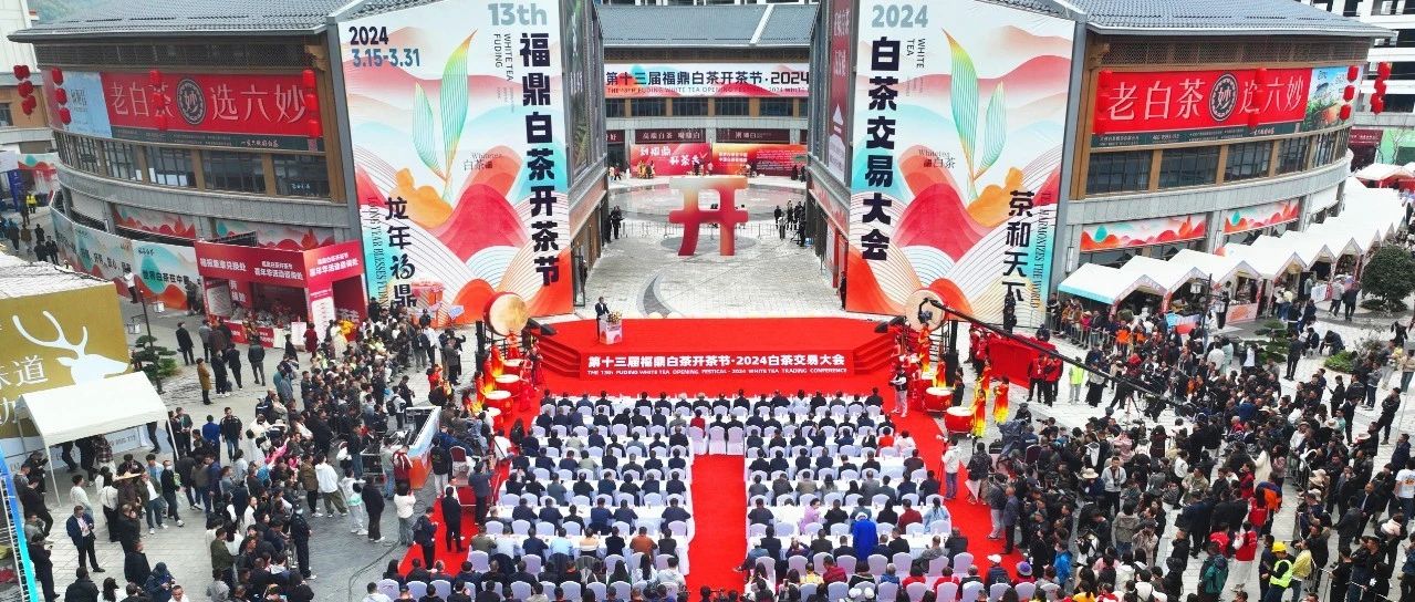 第十三屆福鼎白茶開茶節·2024白茶交易大會盛大啟幕！