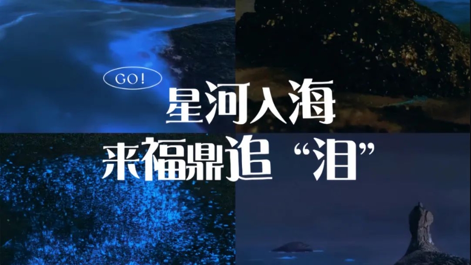 星河入海！來福鼎遇見“藍眼淚”！