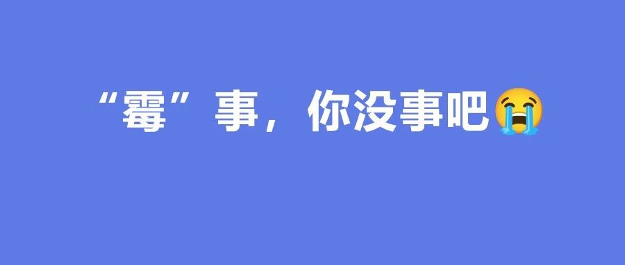 最近的天氣有多癲？干皮都不干了，人也發“霉”了