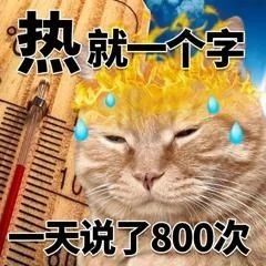 福鼎“下開水”？已老實，求放過……