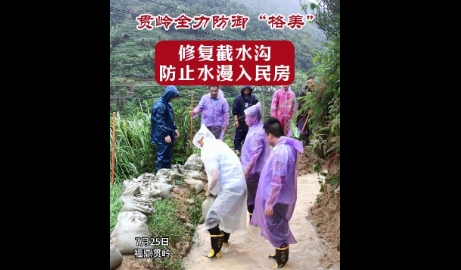 全力防御“格美”！貫嶺鎮及時修復截水溝，防止水漫入民房。