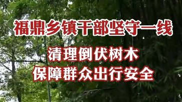 福鼎鄉鎮干部堅守抗臺一線，清理倒伏樹木，保障群眾出行安全。