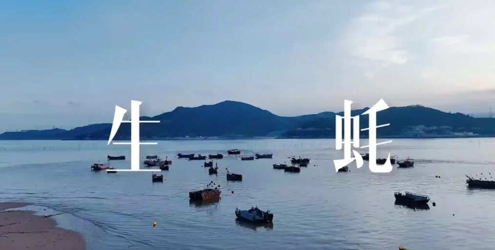 無論多遠我都朝你呼喊：“快來福鼎吃生蠔啦！