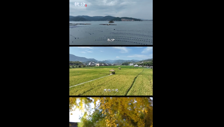 一葉落，平分秋色。萬(wàn)物收，歲月無(wú)恙。耕海牧漁，風(fēng)吹稻浪，這就是福鼎的秋分