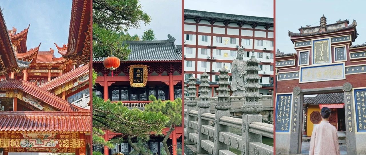 秋日出游新玩法！講究一個“緣”！