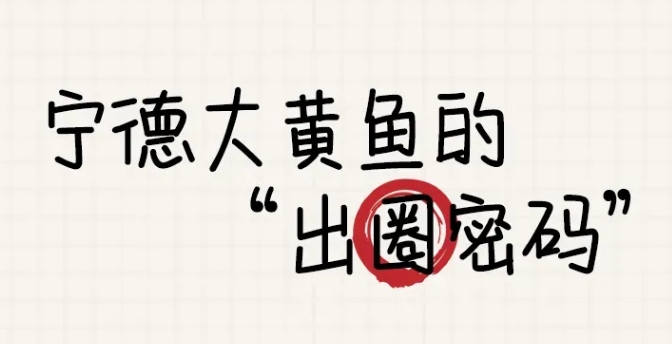 價值上百億！福建這條魚什么來頭？