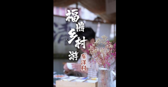 漫步溪邊，收獲瓜果成熟的喜悅，品一品福鼎白茶與咖啡的碰撞。白琳鎮(zhèn)車(chē)洋村，隱在山中的田園詩(shī)。
