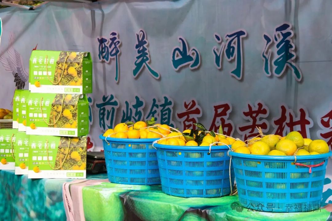 “柑”好有你！前岐，約起