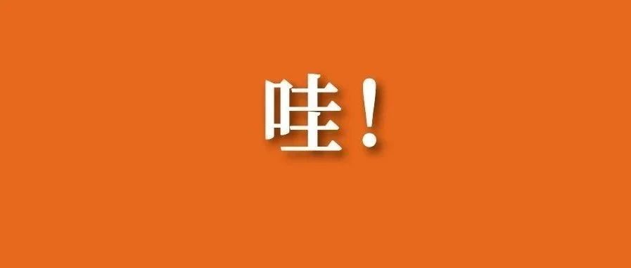 “白茶之夜”新年音樂會倒計時！已經開始期待了