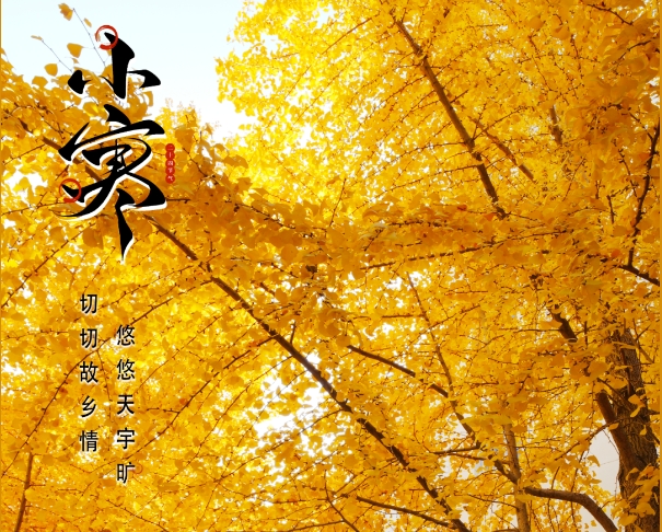 小寒已至，你什么時候回福鼎？