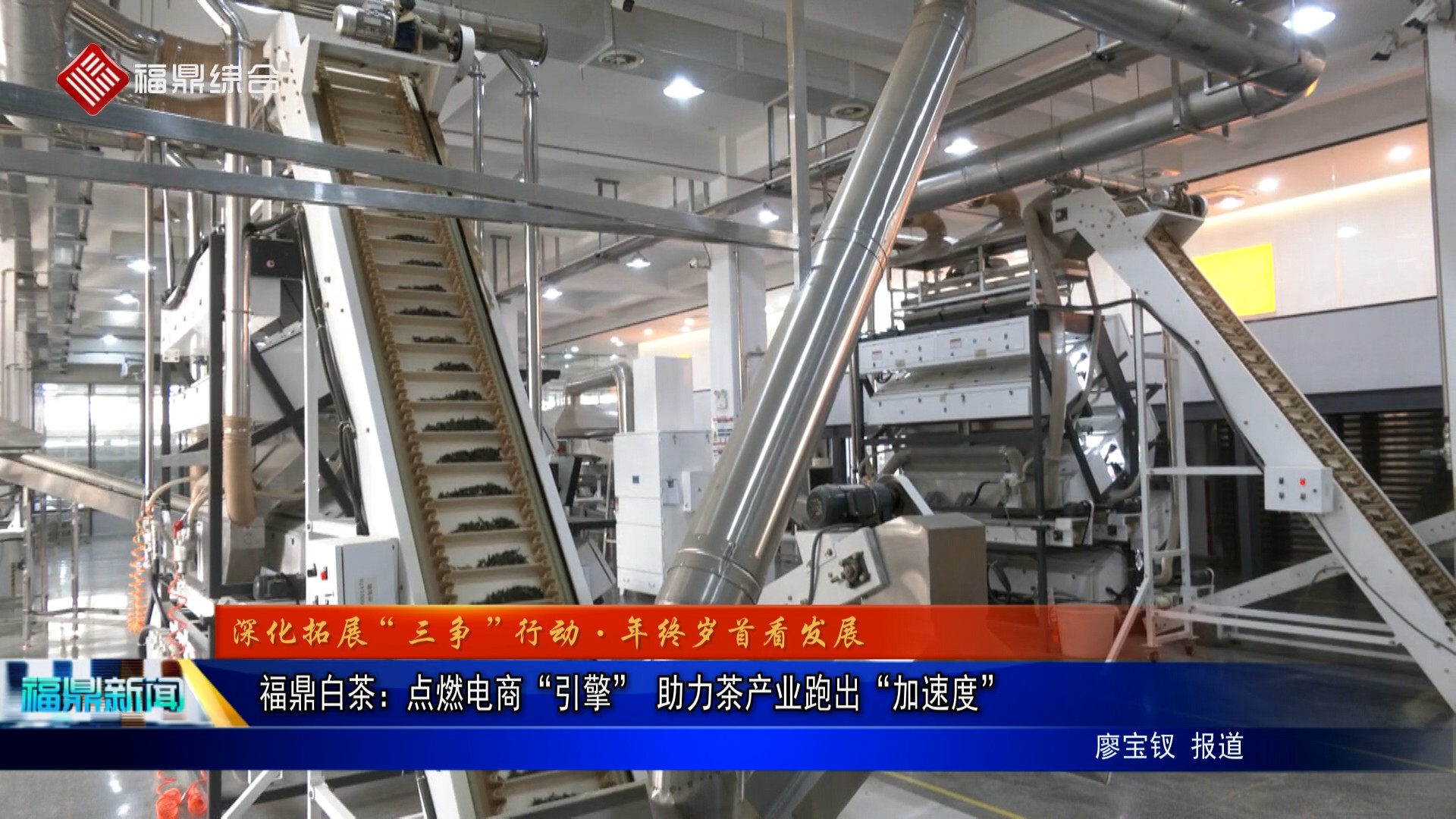 福鼎白茶：點燃電商“引擎” 助力茶產業跑出“加速度”