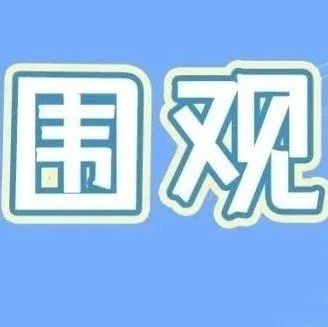 未來福鼎白茶將有哪些驚喜？明天進(jìn)來看就知道！