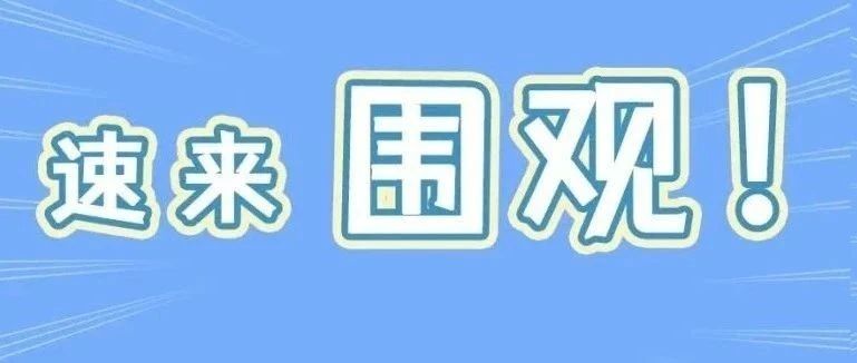 白牡丹有何獨特魅力？明天來看看